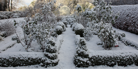 End of January Gardening: Preparing for Spring and Planting Winter Vegetables