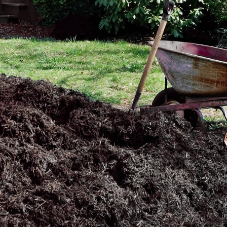 Spent Mushroom Compost by Dandy's