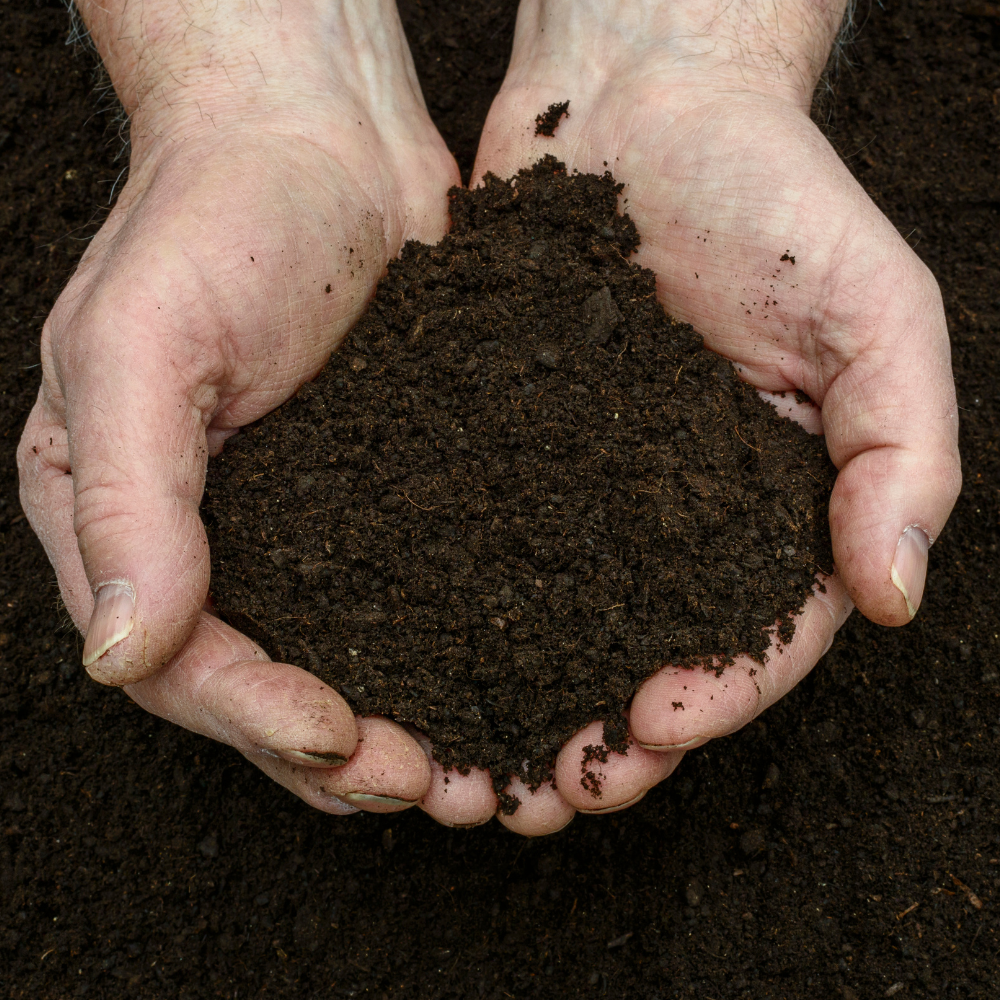 Lawnmix® Welsh Topsoil Sample