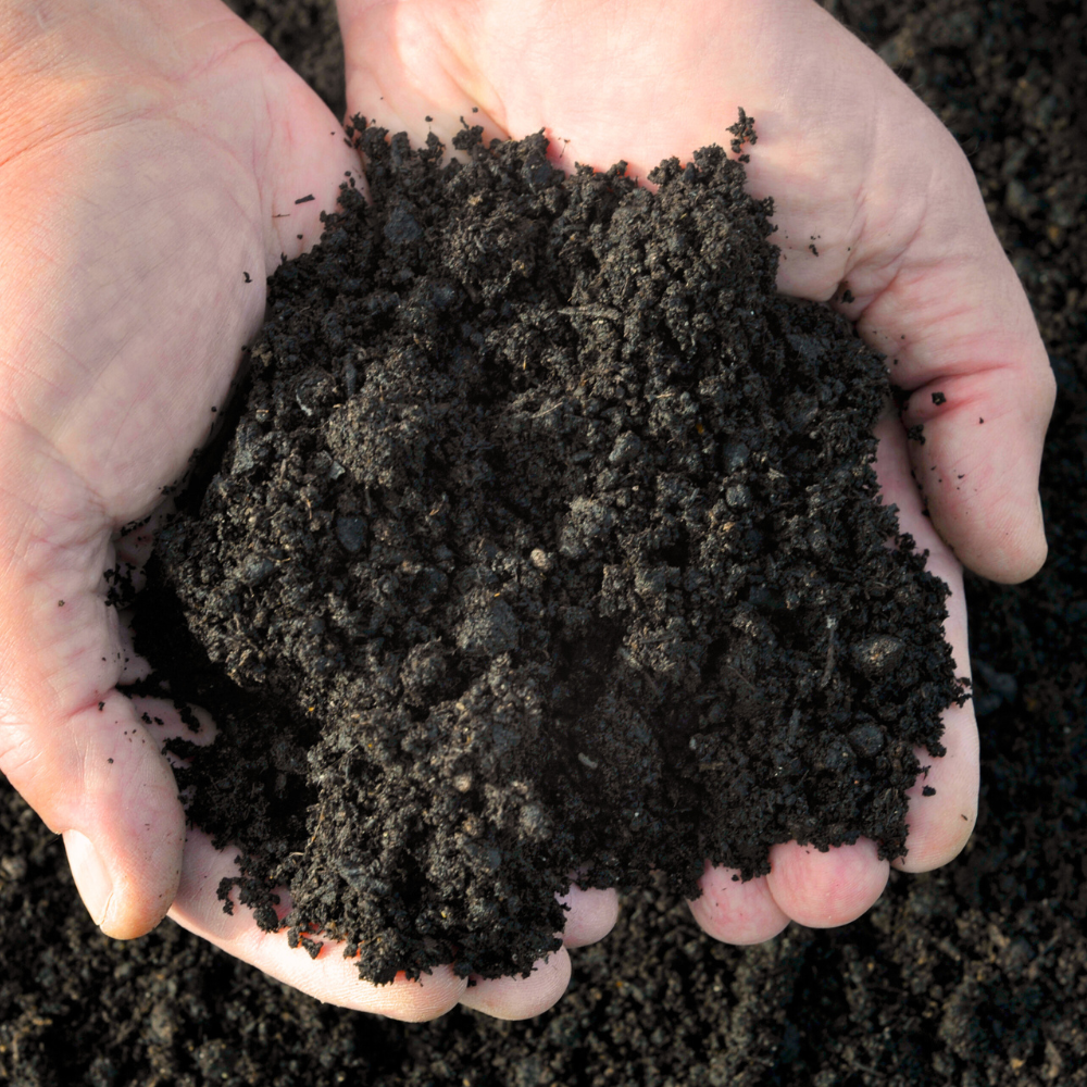 Bordermix® Welsh Topsoil Sample