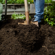 Dandy's Springmix Compost Garden Mulch