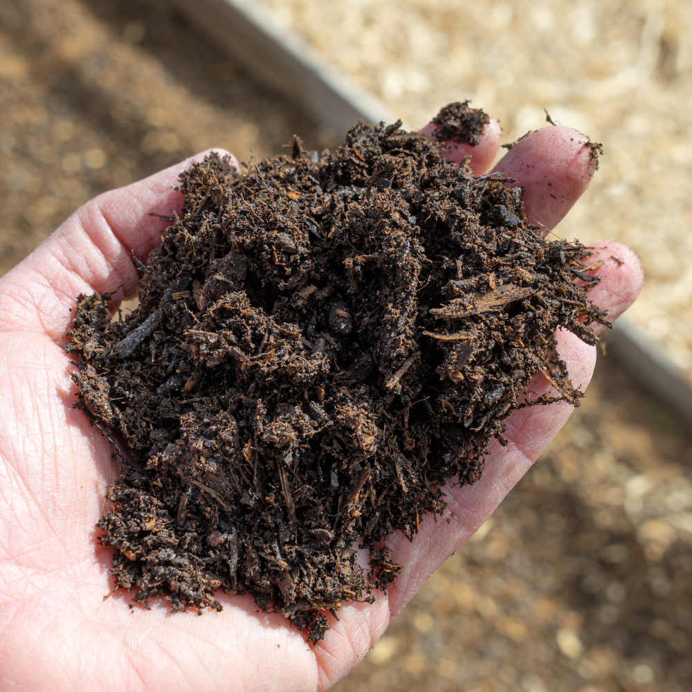 Horse and Chicken Manure / Mushroom Compost Sample