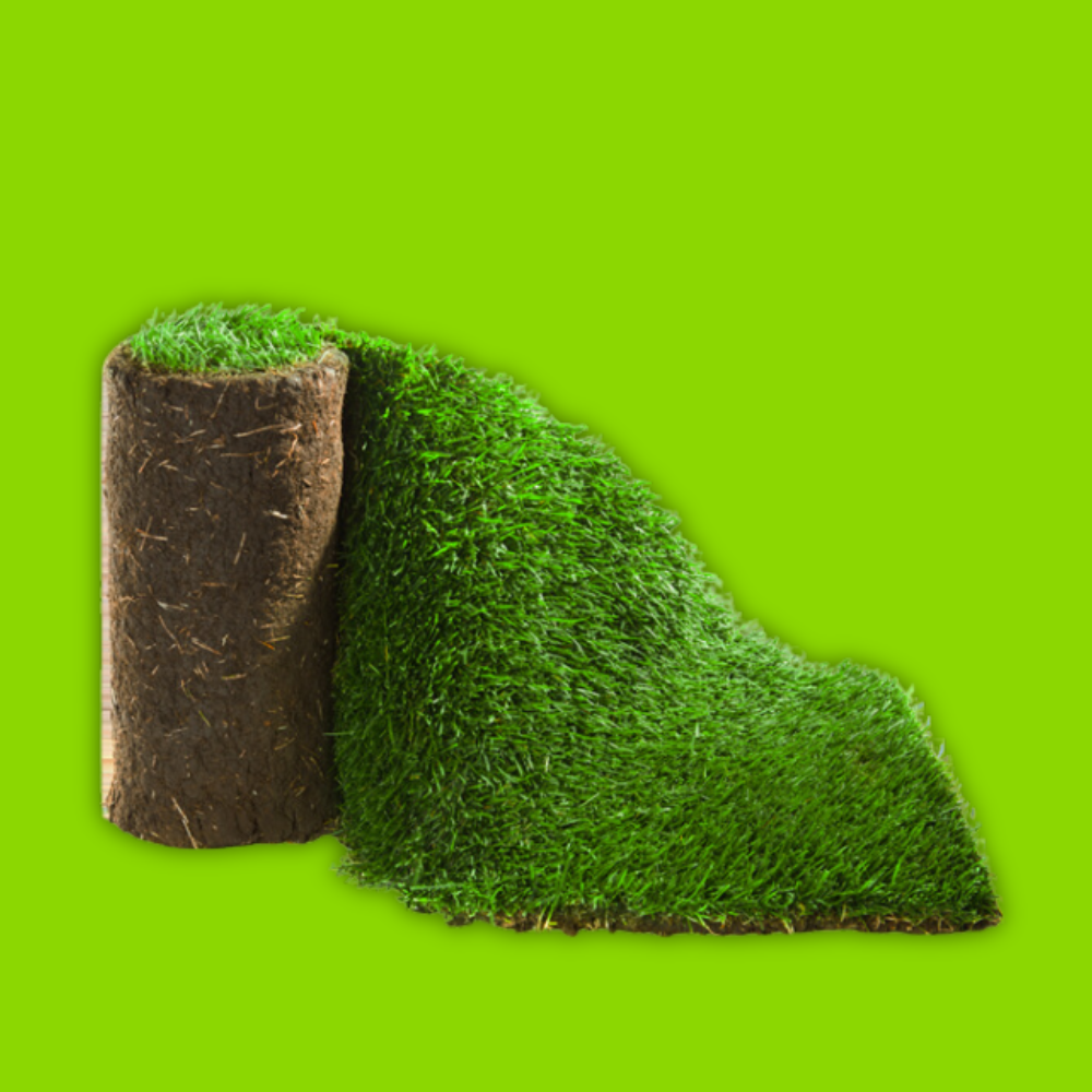 Click and Collect Lawn Turf m2 rolls - Special Offer (Collection only).