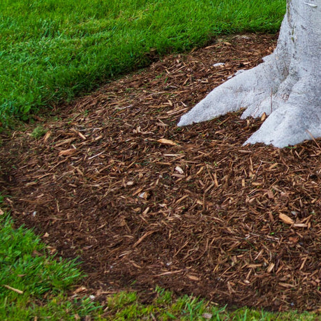 Dandy's Premium Border Landscaping Bark