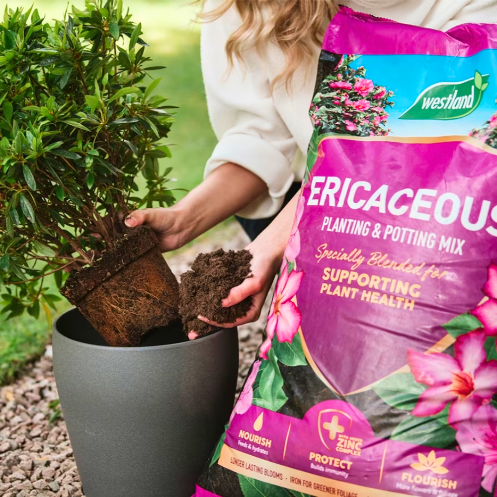 Add-on Ericaceous Planting & Potting Mix 50ltr