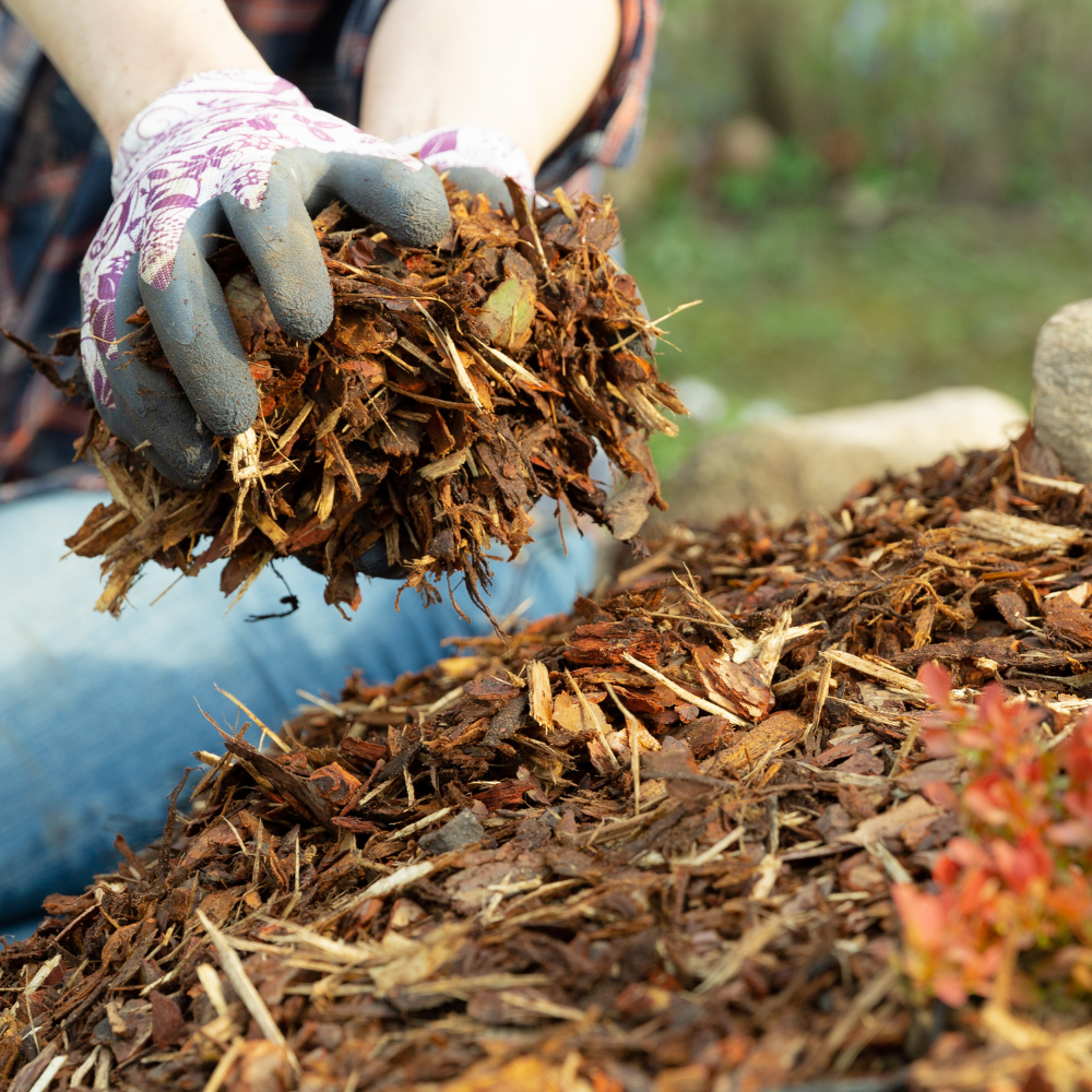 Landscaping Garden Bark Mulch For Sale | FAST Home Delivery – Dandy's ...