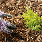 Landscaping Garden Bark Mulch Sample