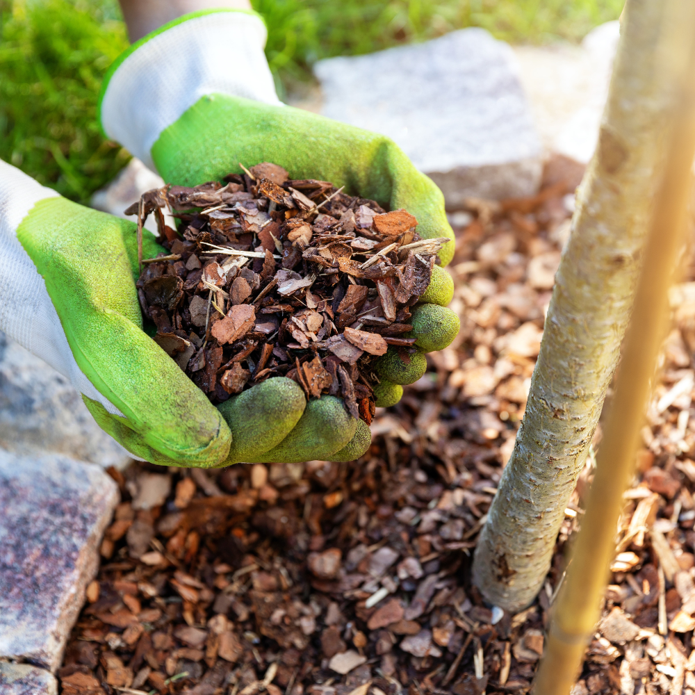 Premium Border Bark | Dandy's Topsoil & Landscape Supplies