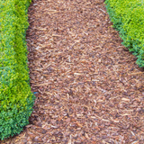 Premium Border Landscaping Bark Mulch