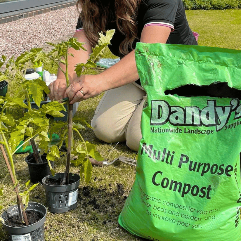 Dandy's Peat Free Organic Compost