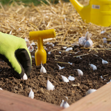 Grow Your Own "Raised Bed Kit"