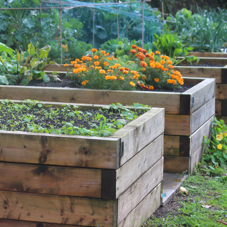 Dandy's Raised Bed Topsoil Mix