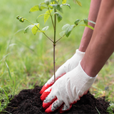 RootMax Tree Planting Soil - Deep Growth Support