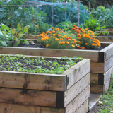 Grow Your Own "Raised Bed Kit"