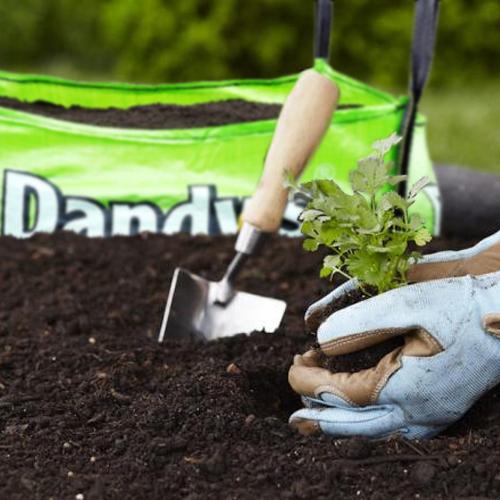 Dandys Multi Purpose Topsoil Sample | Free Postage – Dandy's Topsoil ...