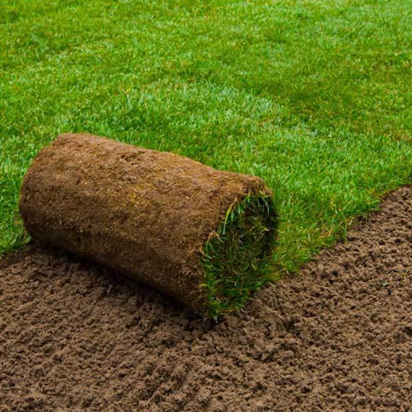 Garden turf deals