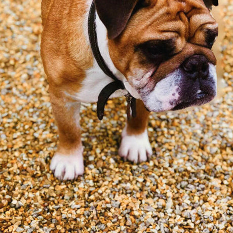 Golden Gravel Chippings.